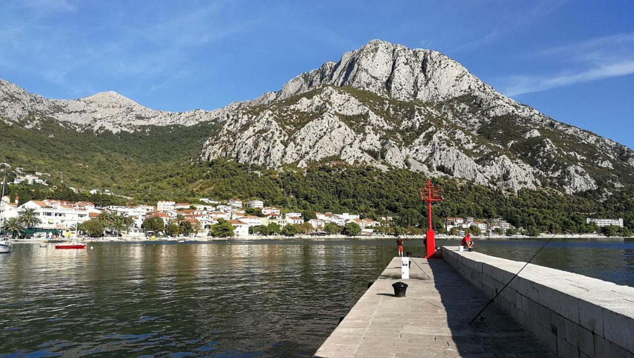 Apartament Studio Apartman Zana Gradac  Zewnętrze zdjęcie